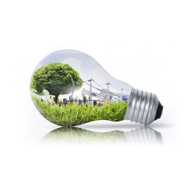 sustainable and energy efficient options where applicable